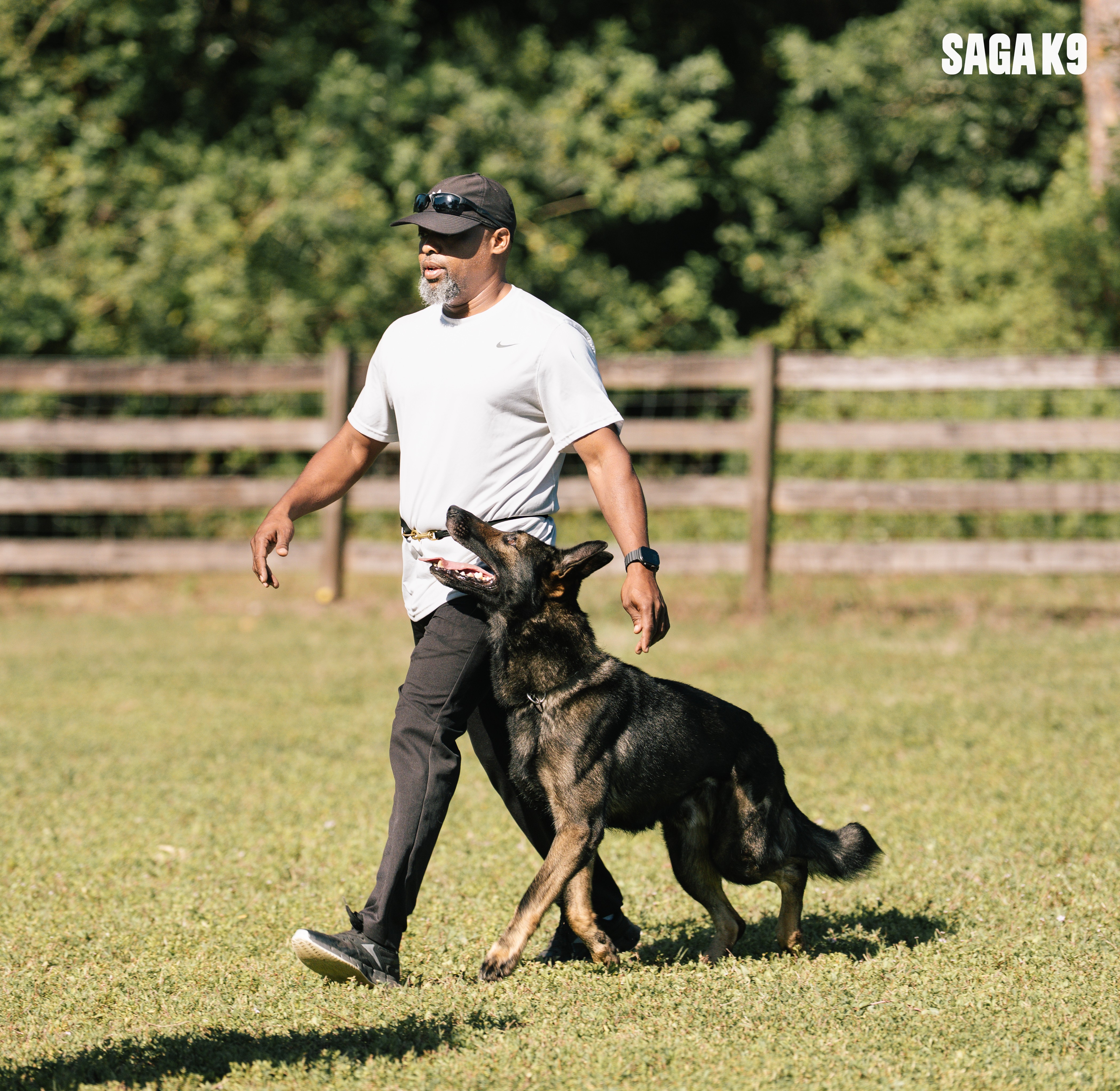 Obedience Training