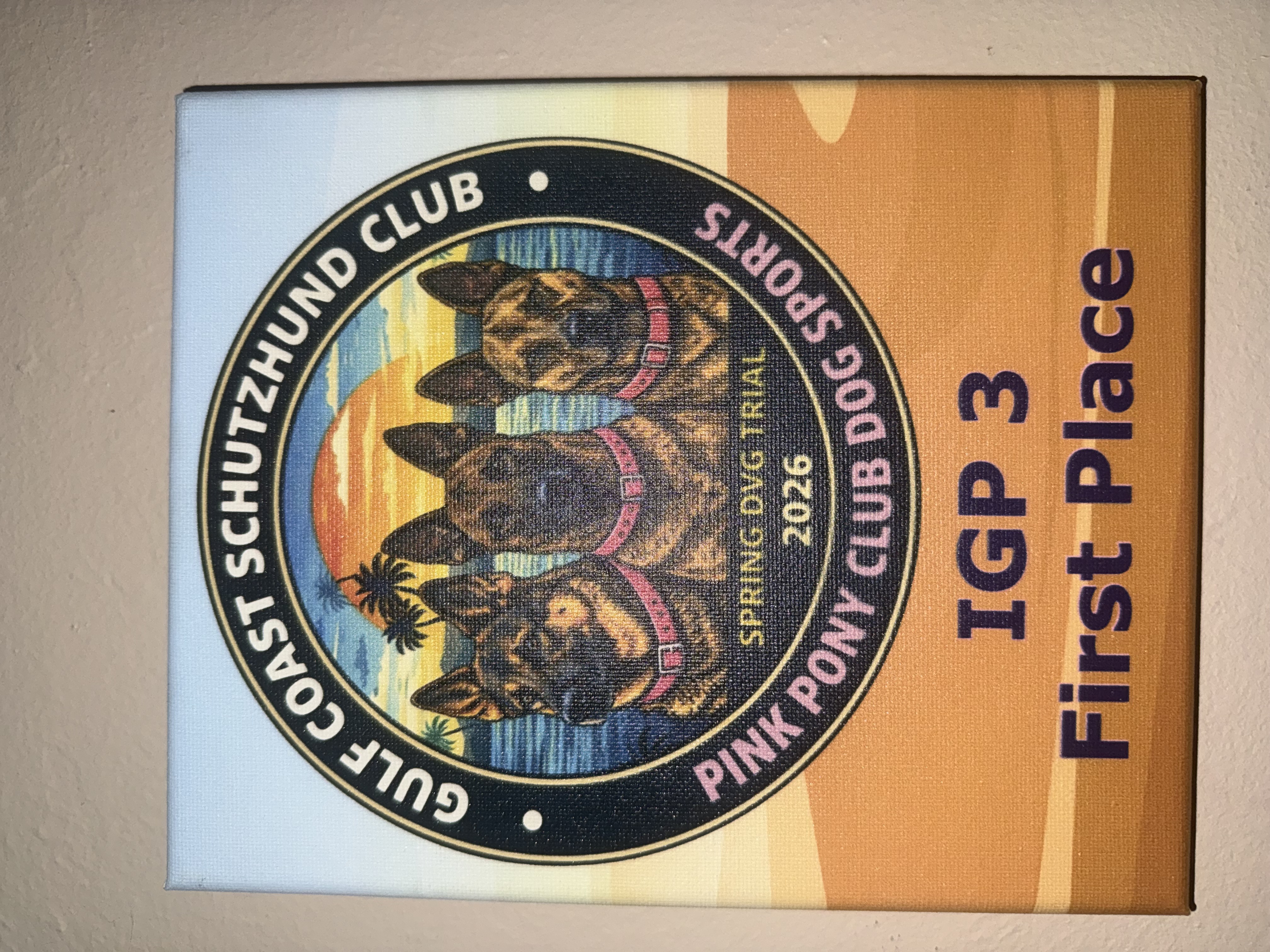 IGP3 First Place — Gulf Coast Schutzhund Club Spring DVG Trial 2026