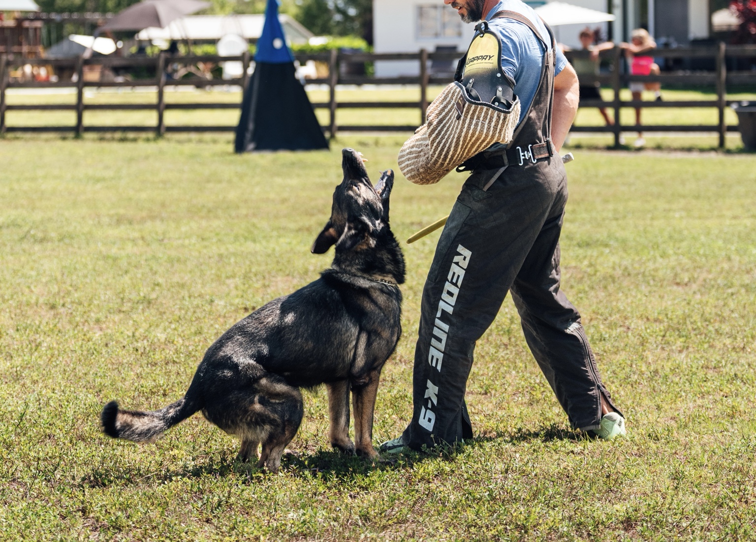 Enzo working with a decoy during protection training